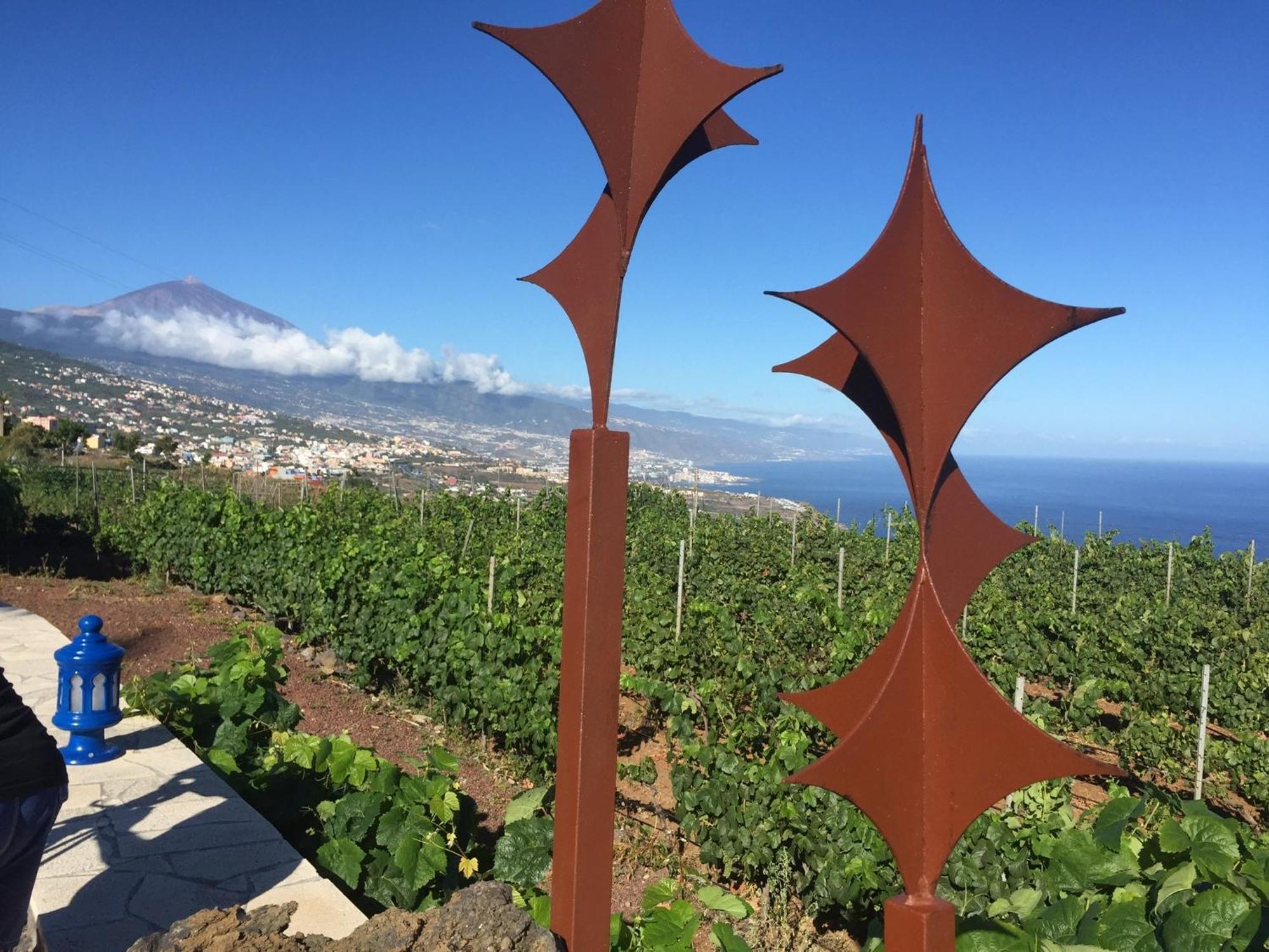 Finca Angelus Apartment Syrah With Amazing Views La Matanza De Acentejo Exterior foto